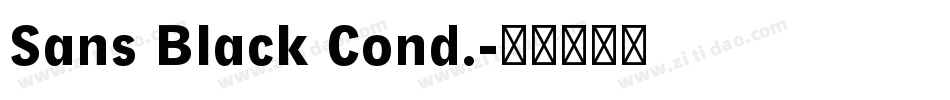 Sans Black Cond.字体转换